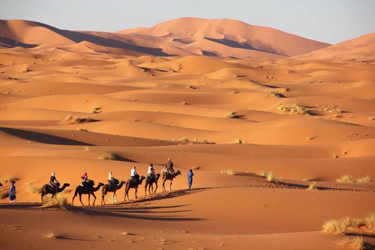 Read more about the article CAMEL TREKKING MARRAKECH TO FES (4 DAYS)